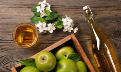 wellhealthorganic.com:amazing-benefits-of-apple-cider-vinegar